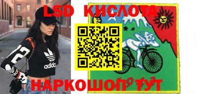 прущие грибы Пыть-Ях