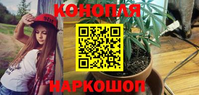 прущие грибы Пыть-Ях